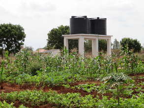 Healthy crops & water holding tank