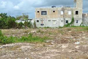 Treatment area after clearing vegetation