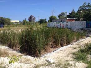 Constructed wetland in Domingo Maiz