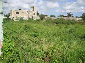 Treatment area before clearing vegetation