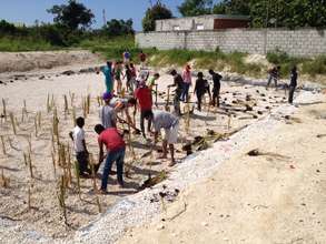 Volunteer service day with the Community