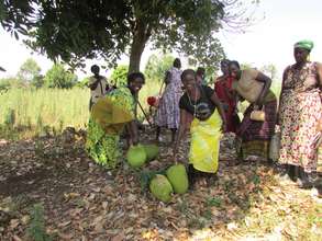 New Land - Gathering jack fruits from trees in Feb