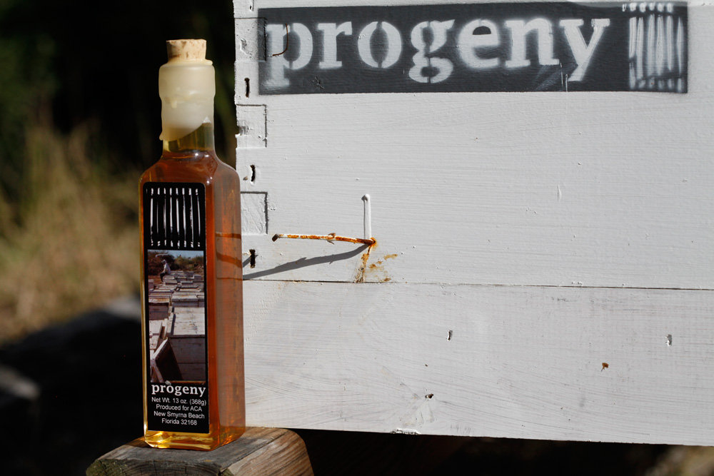 Bee Society: A Global Touring Sound Installation