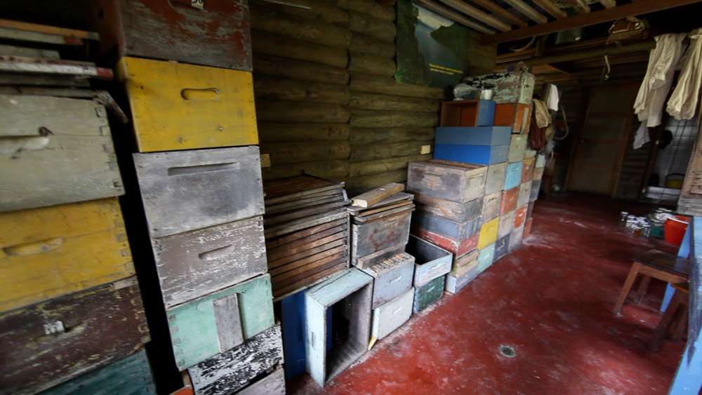 Bee Society: A Global Touring Sound Installation