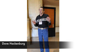 Dave Hackenburg: Colony Collapse Disorder