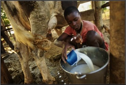 Teaching Farming Skills to Ugandan Street Children