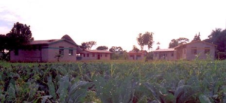 Teaching Farming Skills to Ugandan Street Children