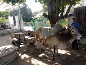 Tran's dad heading to work