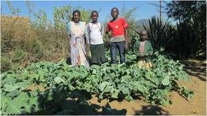 Vegetable Garden