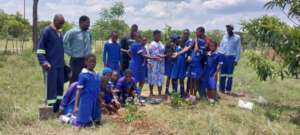 Our Tree Project