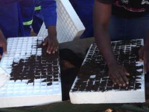 Girls Preparing Trays for Seedlings