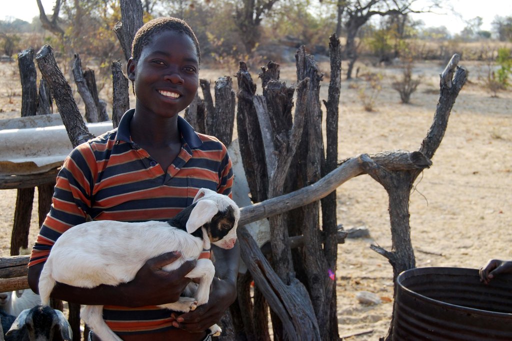 Goats for 145 AIDS Orphans