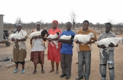 Training/Guinea Fowl for 30 Adolescent Guardians