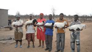 Training/Guinea Fowl for 30 Adolescent Guardians