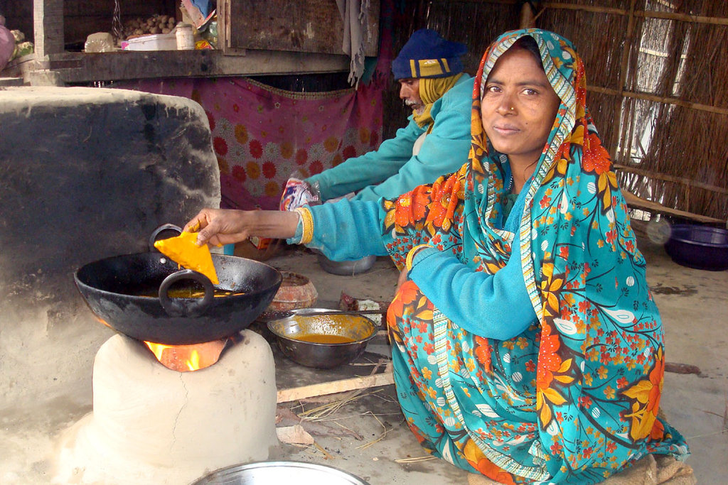 Madhubani, India Project - supported by Elanco