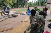 Create 100 bee farmers in Nakasongola-Uganda