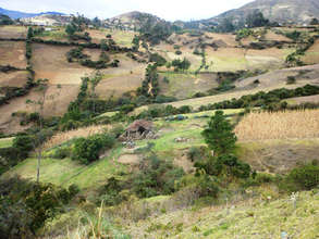 Andean landscape
