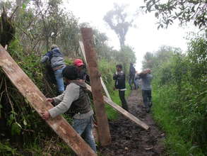 Transport of material