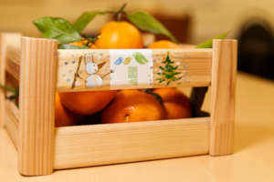 gift box