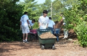 Support TGI at National Arab American Service Day