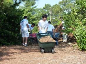 Support TGI at National Arab American Service Day