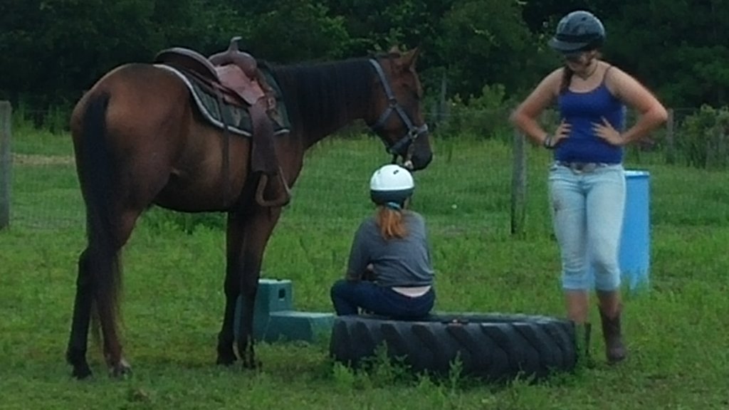Fortune taking a break during a training session