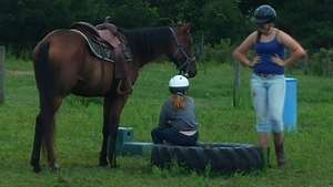 Fortune taking a break during a training session