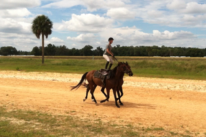 Roman riding training progress!
