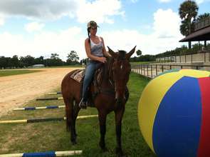 The ball is always interesting!
