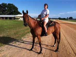 Q gets a saddle lesson!