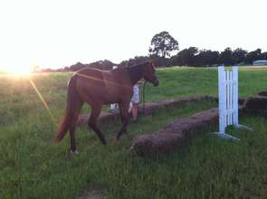 Fortune on the Obstacle Course