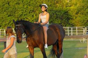 Standardbreds have such a great heart!