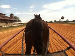 A view from the drivers seat!