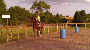 Having fun in the riding ring