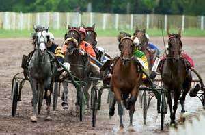 Harness Racing Careers are demanding