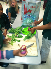 Using Garden Produce to Make a Salad!