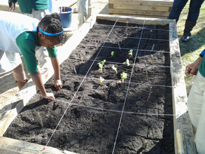 Measuring in the Math Garden!