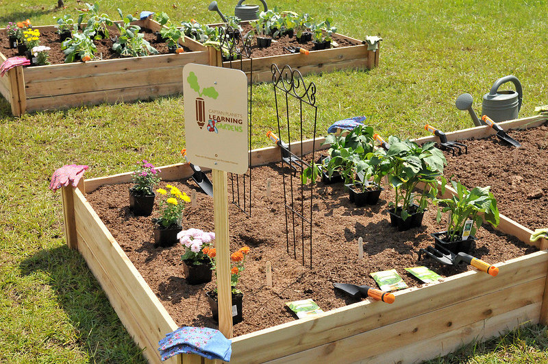 Invest in Outdoor Learning Gardens & Health