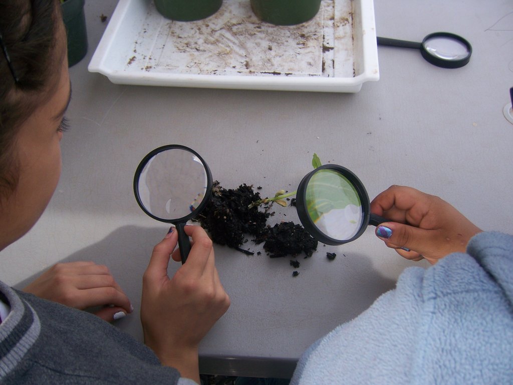 Invest in Outdoor Learning Gardens & Health