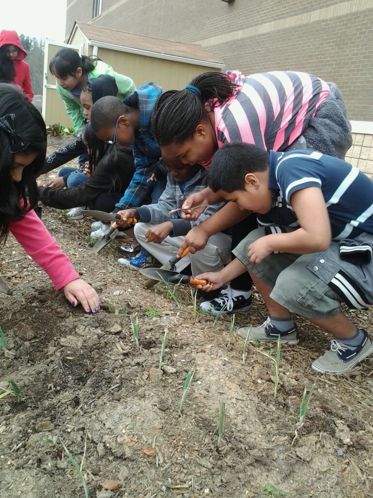 Invest in Outdoor Learning Gardens & Health