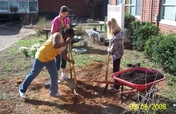 Blue Thumbs Rain Garden, Youth Planed and Built