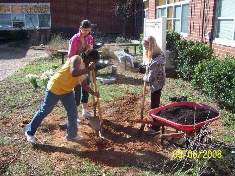 Blue Thumbs Rain Garden, Youth Planed and Built