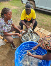 Food Preparation for Independence Day Celebration.