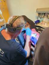 Patient receiving dental care