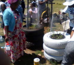 Painted car tire garden