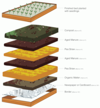 design for no dig garden