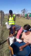 Handwashing