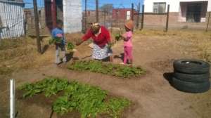 Our gardens