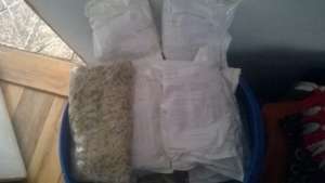 Lunchbox Fund supplies