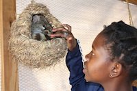 Pen and bags for children